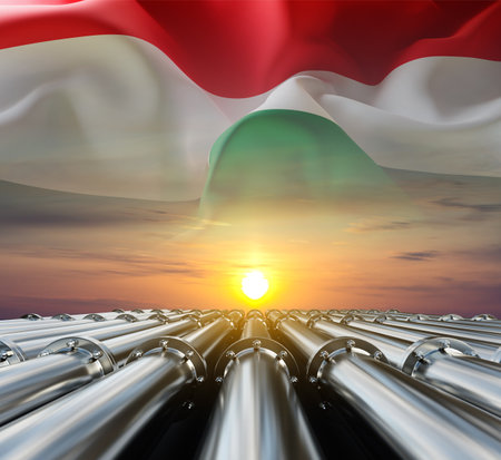 Tubes running in the direction of the setting sun with Hungary flag. Fuel industry transportation line connection. 3d-renderingの写真素材
