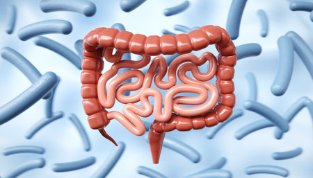 Human intestine on background of probiotic cells. Microbiome of digestive system. 3d-renderingの写真素材