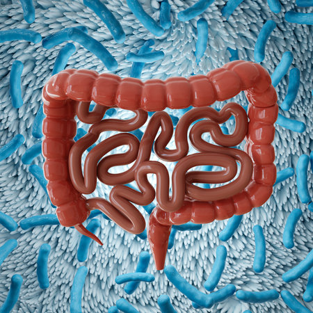 Human intestine on background of probiotic cells. Microbiome of digestive system. 3d-renderingの写真素材