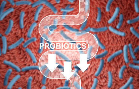 Probiotics concept. Human microbiome of digestive system. 3d-renderingの写真素材