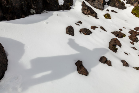 Human shadow on fresh snow, Andes, Ecuadorの写真素材