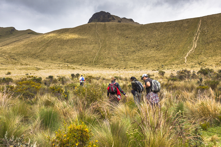 Climbers ascending the mountain Fuya Fuya, Andes, Ecuadorのeditorial素材