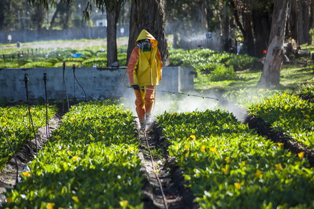 Guayllabamba, Ecuador - MAY 14, 2015: Technical wearing appropriate clothing, fumigating a flower plantation outdoors.のeditorial素材