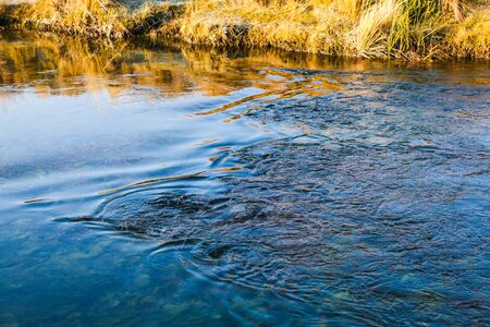 Pajonales gold with blue river at dawn