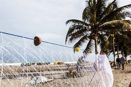 Newly woven fishing net stretched between palm treesの写真素材