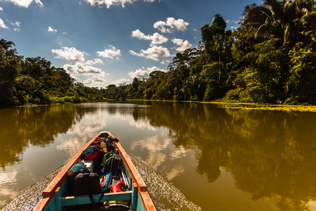 Reflected jungle in the Limoncocha lagoon in the Ecuadorian Amazonの写真素材