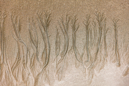 Closeup of texture formed by erosion on the sandy beach at low tideの写真素材