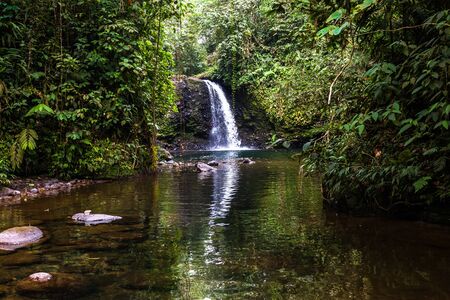 Waterfall in the middle of the Ecuadorian jungleの写真素材