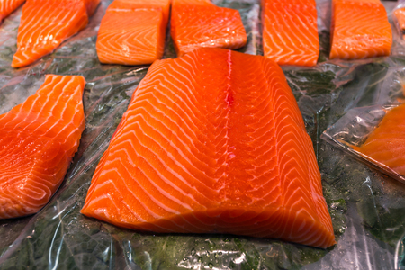 Salmon fillets placed on ice to keep them fresh on the marketのeditorial素材