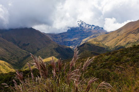 Peak of the Cotacachi volcano appears among the clouds with plants in the foregroundの写真素材