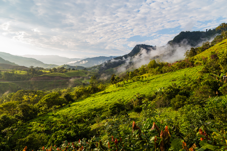 Landscape with clouds, jungles, mountains and crops of the northwestern region of the Andes mountain range, Ecuadorの写真素材