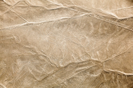 Aerial view of the Nazca Lines, the monkey, Peruの写真素材