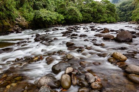 River with clean and crystal clear water and many rocks surrounded by green jungle in the rainforest