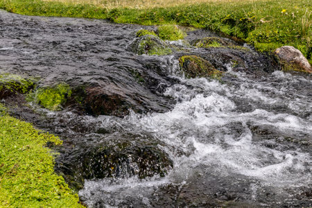 Paramos, wetlands, volcanic hills, rocks, springs, of the Cotopaxi National Park