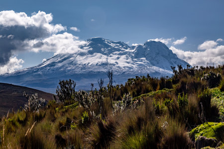 Antisana volcano seen against the light early in the morningの写真素材