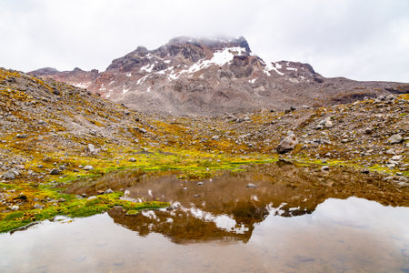 Carihuairazo volcano, Andean landscapes of the high paramo, sparse vegetation, lots of rocks and...