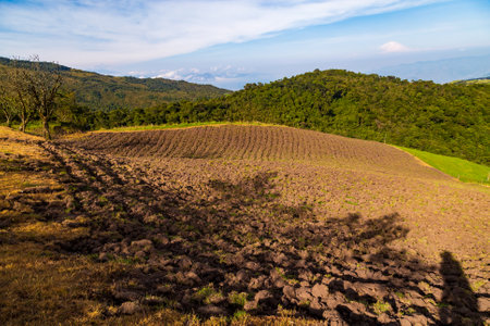 Ecuadorian Andean landscapes early in the morning, Imbabura province, Cotacachi volcano in the background.の写真素材