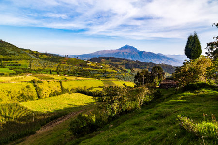 Ecuadorian Andean landscapes early in the morning, Imbabura province, Cotacachi volcano in the background.の写真素材