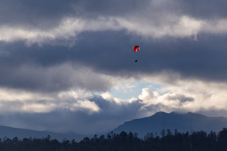 Paraglider in backlit flight with many bright and also dark clouds over a forest in the early morningの写真素材