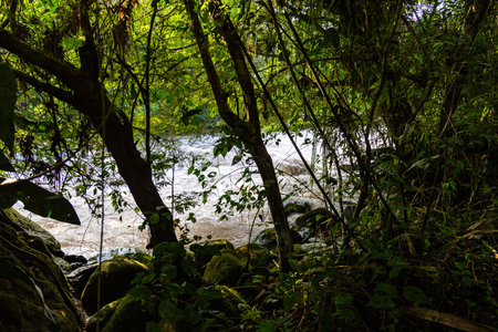 Landscape composed of vegetation, rounded rocks and a mighty river on its banks
