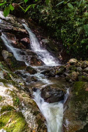 Snapshot of a small waterfall in the middle of the Andean choco jungleの写真素材