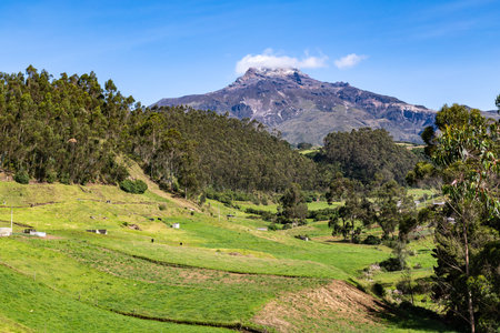 Ilinizas Volcano, Andean landscape with its crop fields and mountains showing their greenery on a clear morning, south eastern view.の写真素材