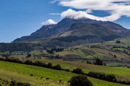 Ilinizas Volcano, Andean landscape with its crop fields and mountains showing their greenery on a clear morning, south eastern view.の写真素材