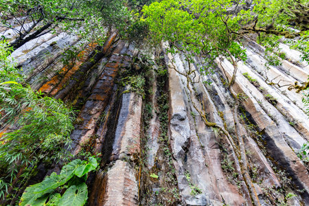 Tangan columns, immense rock walls formed by vertical crystals about 40 m high in the middle of the western jungle of the Ilinizasの写真素材