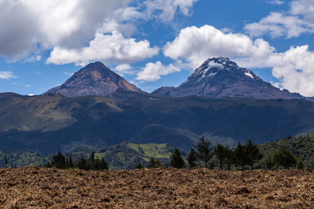 Andean landscape that combines cultivated fields, humid forest, mountains and blue skyの写真素材