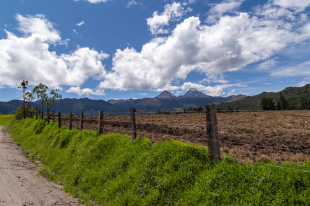 Andean landscape that combines cultivated fields, humid forest, mountains and blue sky