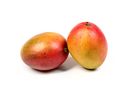 Two ripe mangos isolated on white backgroundの写真素材