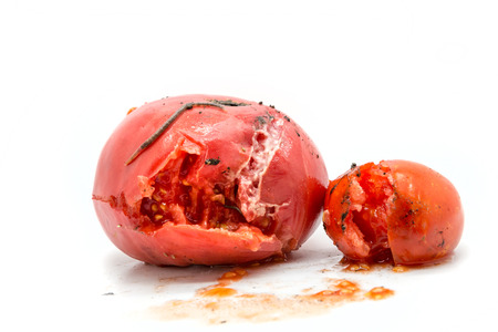 Two rotten tomatoes with a worm isolated on whiteの写真素材
