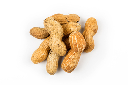 Unsalted peanuts in shell isolated on white backgroundの写真素材