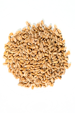 Organic spelt  grains isolated on whiteの写真素材