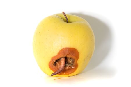 Rotten apple with a large worm isolated on whiteの写真素材