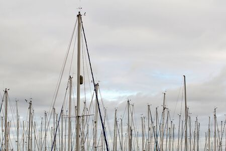 Masts in the marina of Howth in Irelandの写真素材