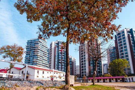 Tree and buildings wallpaper. Abstract urban development and architecture wallpaper. Blue sky and pretty view. Veliefendi Hippodrome, stanbul, Turkey.のeditorial素材