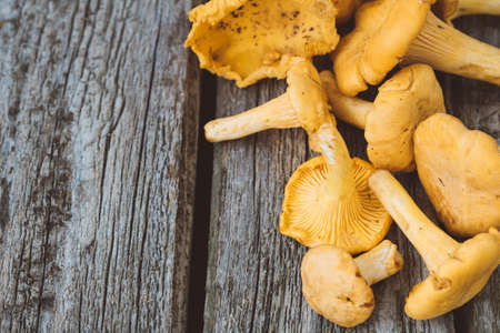 Handful of fresh chanterelles mushrooms on an old gray rustic table.の写真素材