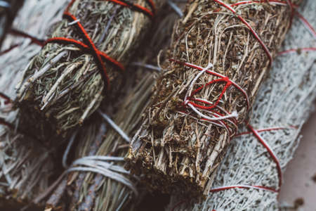 Top view on the branches of dried herbs: sage, wormwood, pine and juniperの写真素材