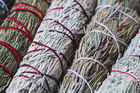 Close-up of the branches of dried herbs: sage, wormwood, pine and juniperの写真素材