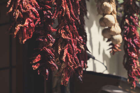 Hanging bunches of dry chili peppersの写真素材