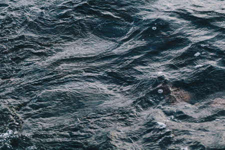 Close-up of autumn stormy water in the gulf of Finland