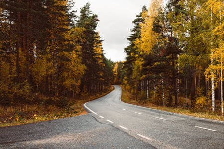 Beautiful moody scene of highway through autumn forest.の写真素材