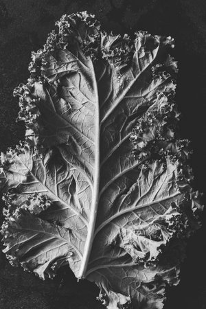 Fresh curly kale salad over dark rustic background.の写真素材
