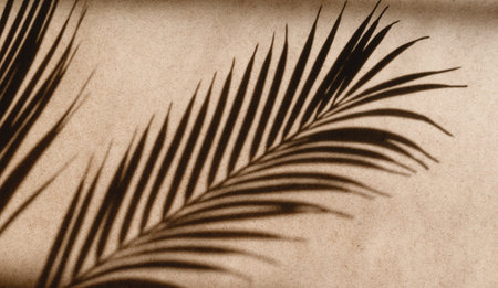 Tropics minimalist abstract blurred background of palm leaf shadow over kraft paper.の写真素材
