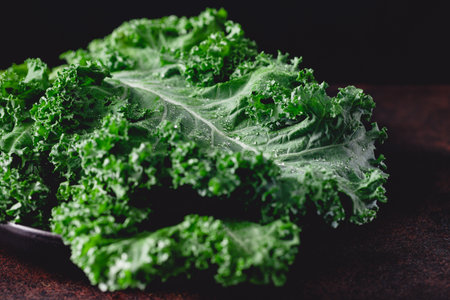 Fresh curly kale salad over dark rustic background.の写真素材