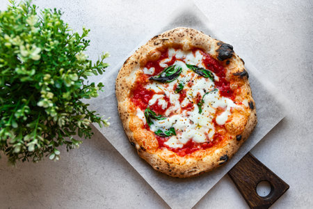 Neapolitan pizza Margarita with tomato sauce, mozzarella and basil cooked in the stone oven on a white backgroundの写真素材