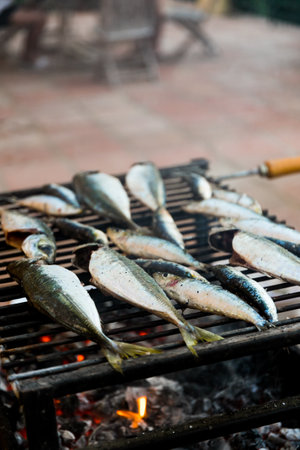 Fresh fish sadrines on a grill, summertime backyard dinner conceptの写真素材