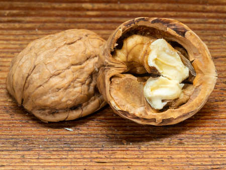 Nut, dried fruit, very hard shell and edible and very fatty seed, produced by walnut.の写真素材