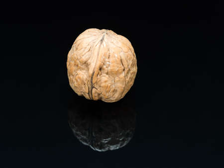 Nut, dried fruit, very hard shell and edible and very fatty seed, produced by walnut.の写真素材